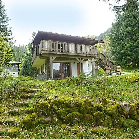 Apartment Le Schwarzwald - A Proximite Des Stations De *