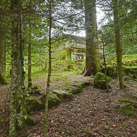 דירה Le Schwarzwald - A Proximite Des Stations De *