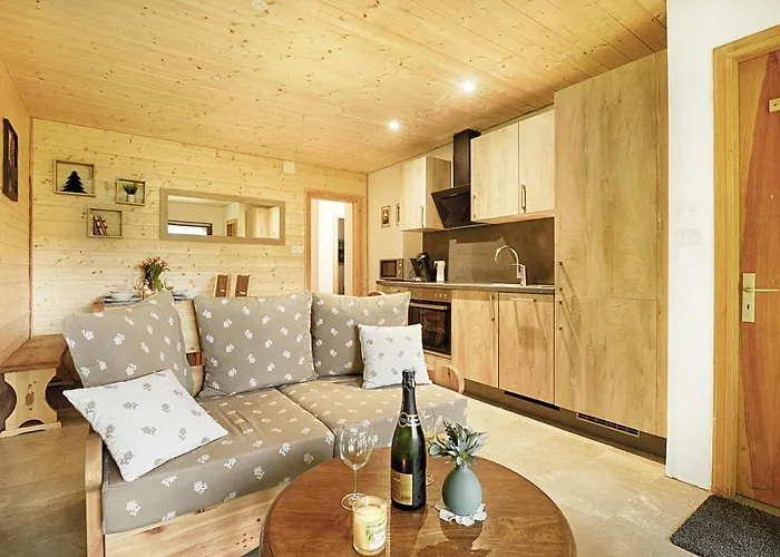 Apartmán Le Schwarzwald - A Proximite Des Stations De La Bresse