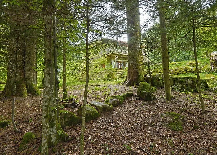 Apartmán Le Schwarzwald - A Proximite Des Stations De *